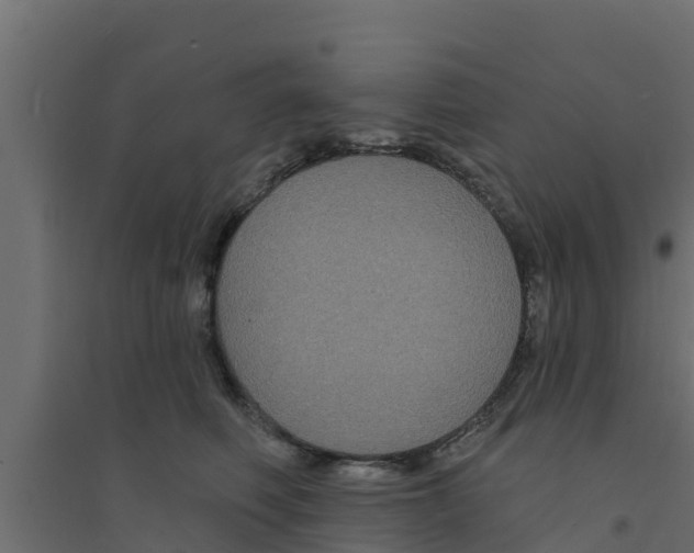 X0000094170614200711241531