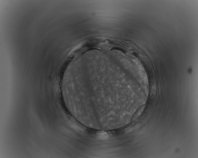 X0000094170616200711241531