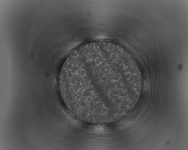 X0000094170618200711241531