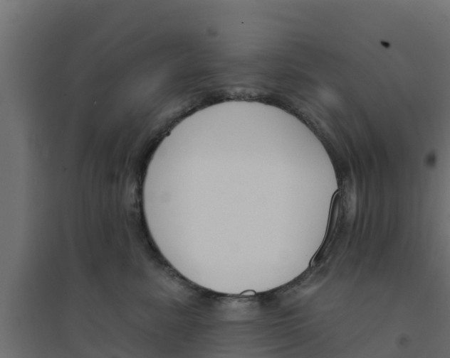 X0000094170619200711241531