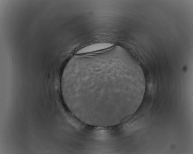 X0000094170620200711241531