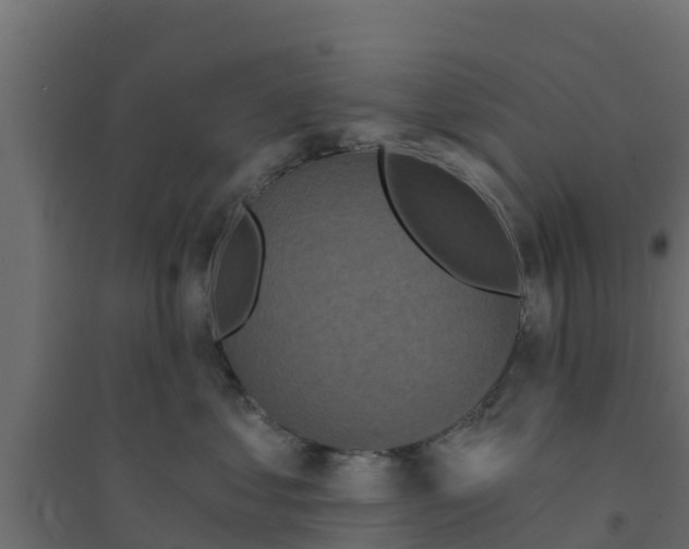 X0000094170621200711241531
