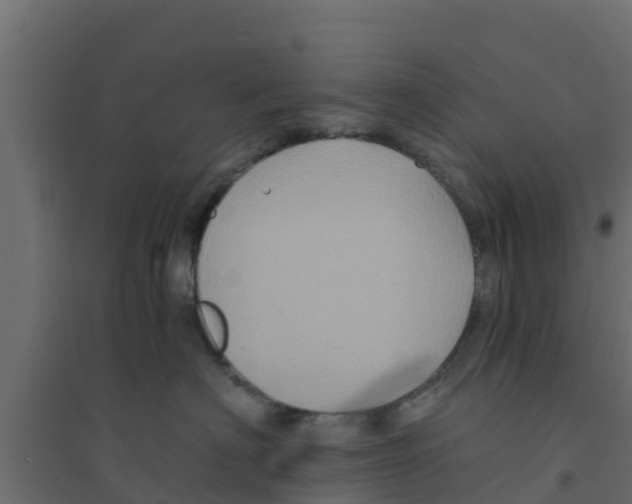 X0000094170622200711241531