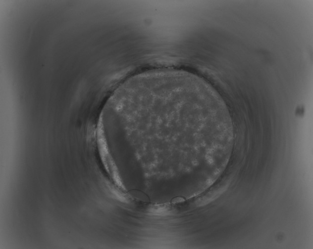 X0000094170624200711241531