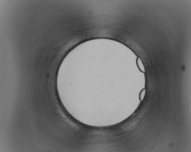X0000094170625200711241531