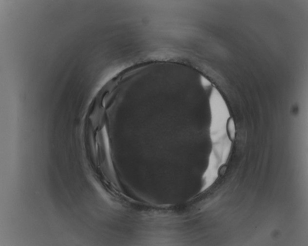 X0000094170626200711241531
