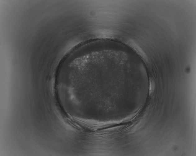 X0000094170627200711241531