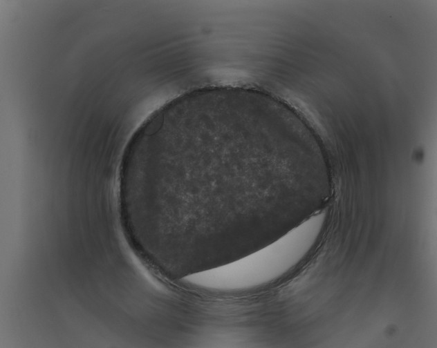 X0000094170630200711241531