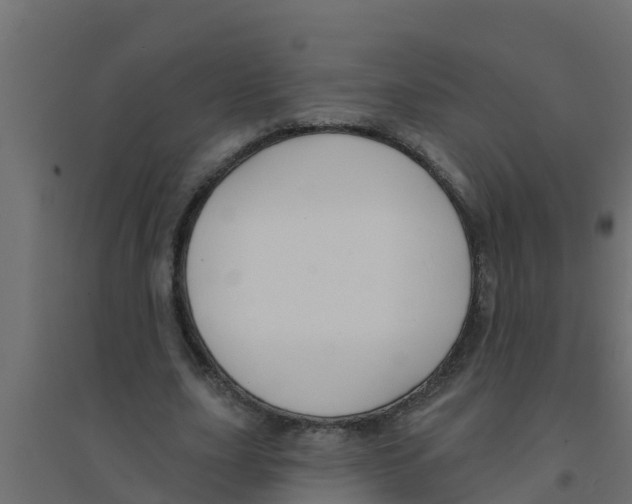 X0000094170631200711241531