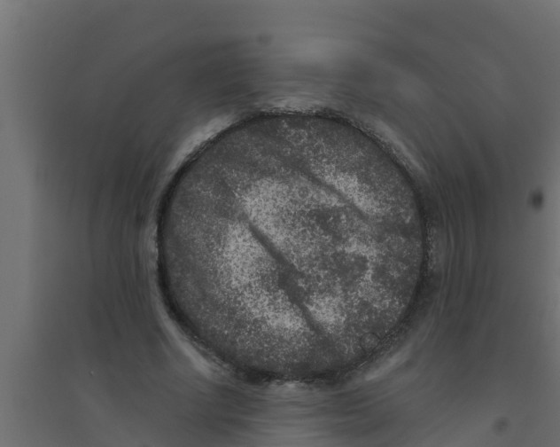 X0000094170634200711241531