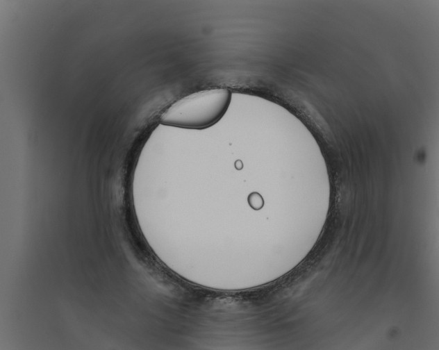 X0000094170635200711241531