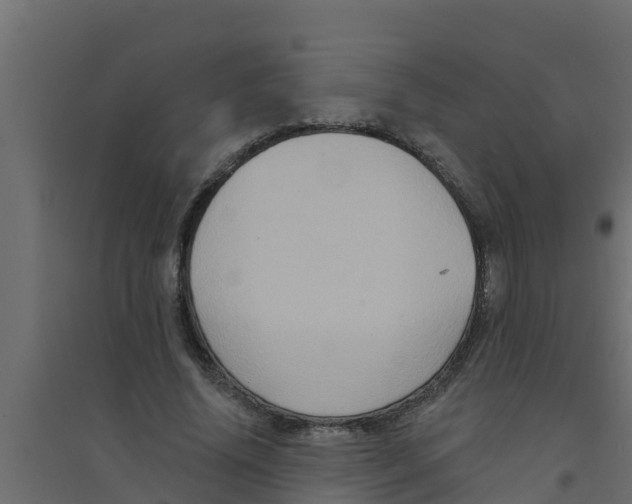 X0000094170636200711241531