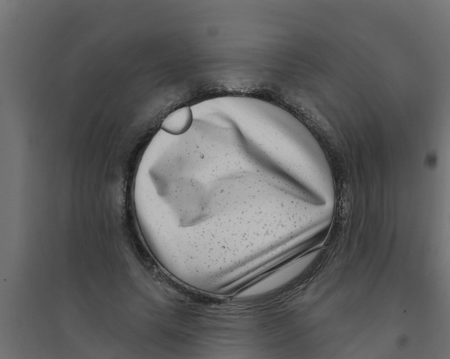 X0000094170639200711241531