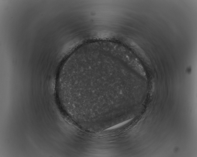 X0000094170640200711241531