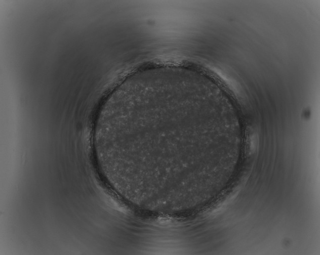 X0000094170641200711241531