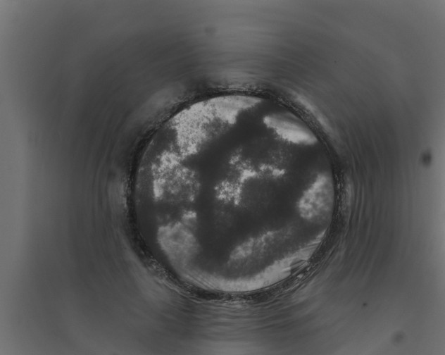 X0000094170643200711241531