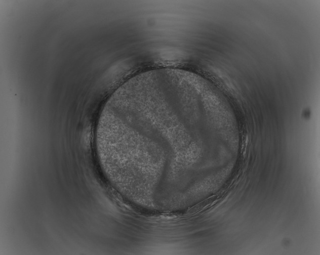 X0000094170647200711241531