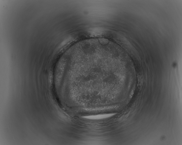 X0000094170648200711241531