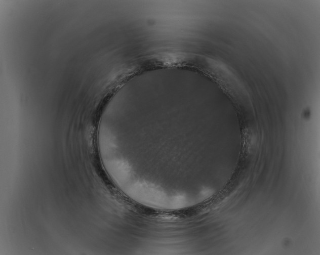 X0000094170650200711241531