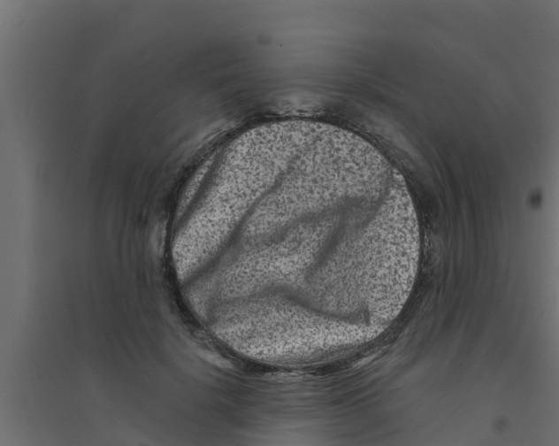 X0000094170652200711241531