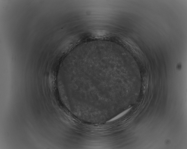 X0000094170653200711241531