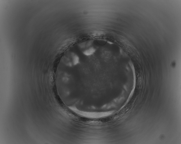 X0000094170654200711241531