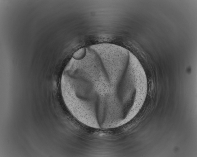 X0000094170655200711241531