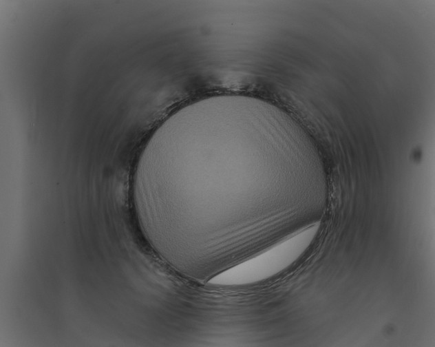 X0000094170656200711241531