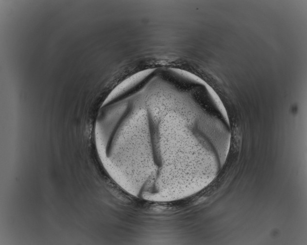 X0000094170657200711241531