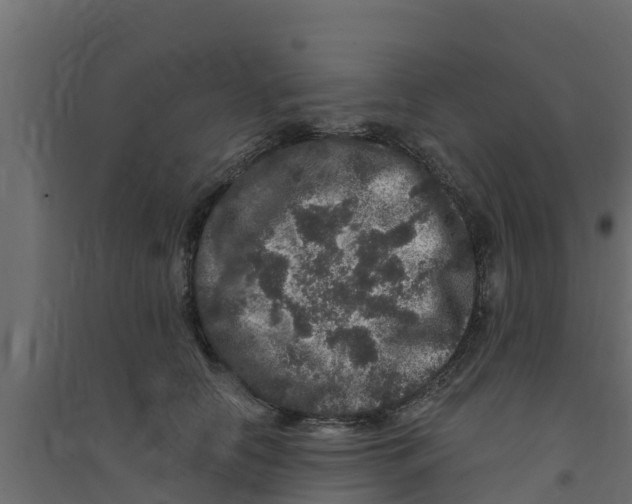X0000094170658200711241531