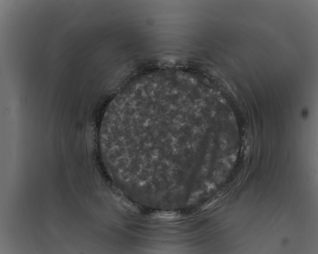 X0000094170659200711241531