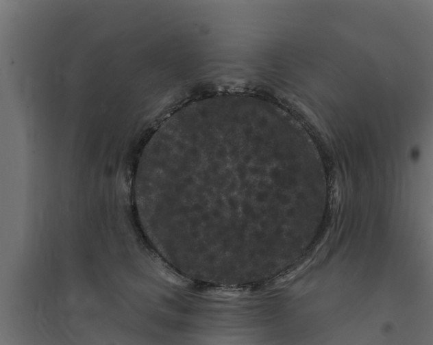 X0000094170661200711241531