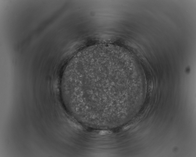 X0000094170663200711241531