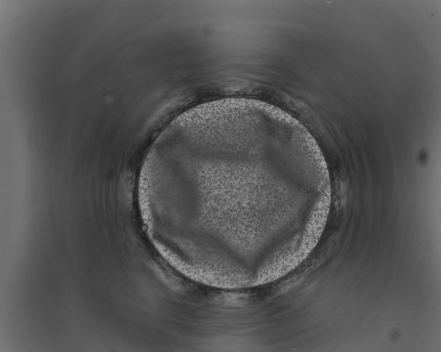 X0000094170664200711241531