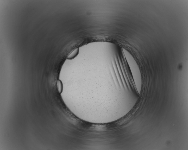 X0000094170665200711241531