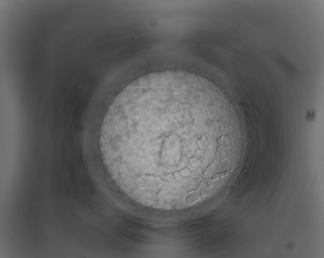 X0000094170672200711241531