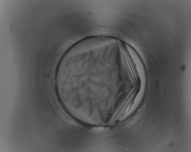X0000094170673200711241531