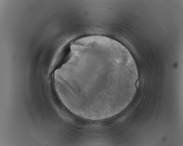 X0000094170674200711241531