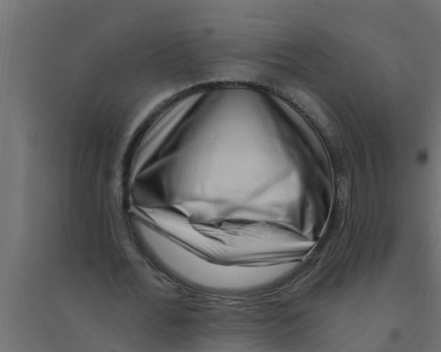 X0000094170676200711241531