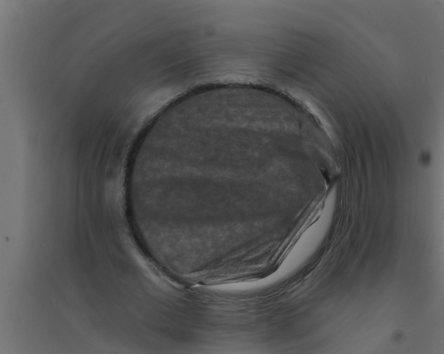 X0000094170677200711241531