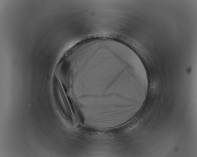 X0000094170678200711241531