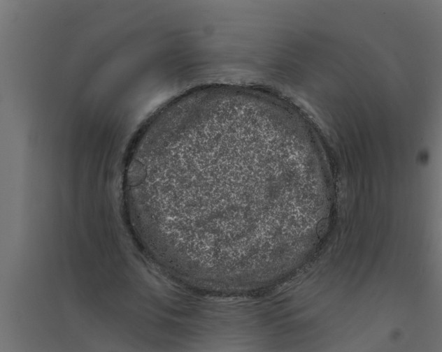 X0000094170679200711241531