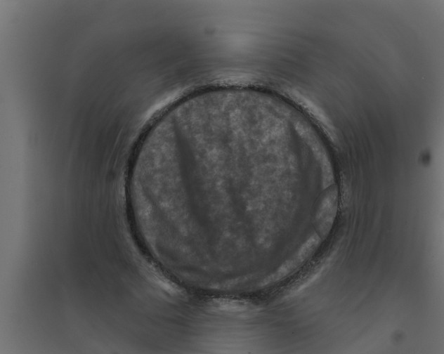 X0000094170681200711241531