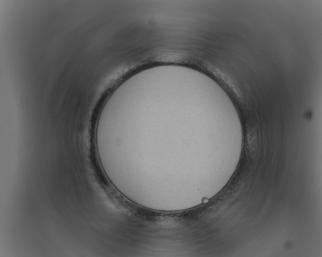 X0000094170682200711241530