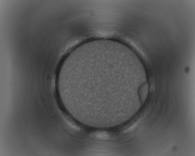 X0000094170685200711241530