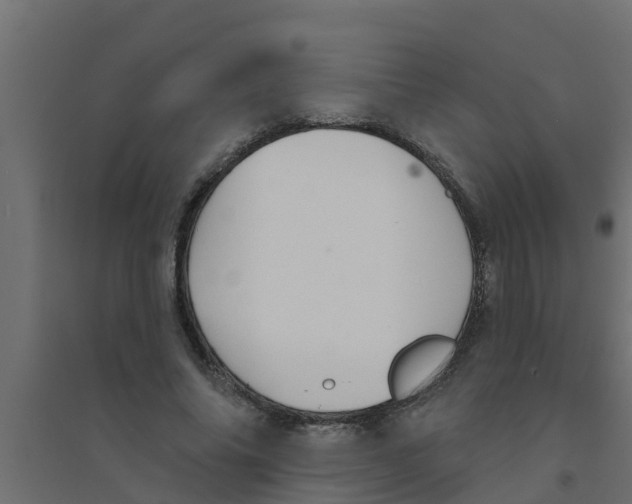 X0000094170686200711241530