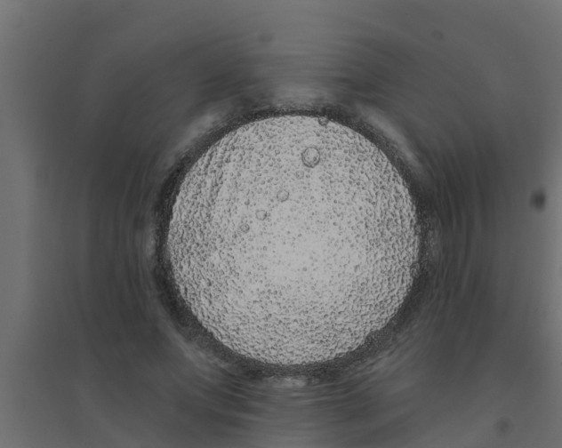 X0000094170687200711241530