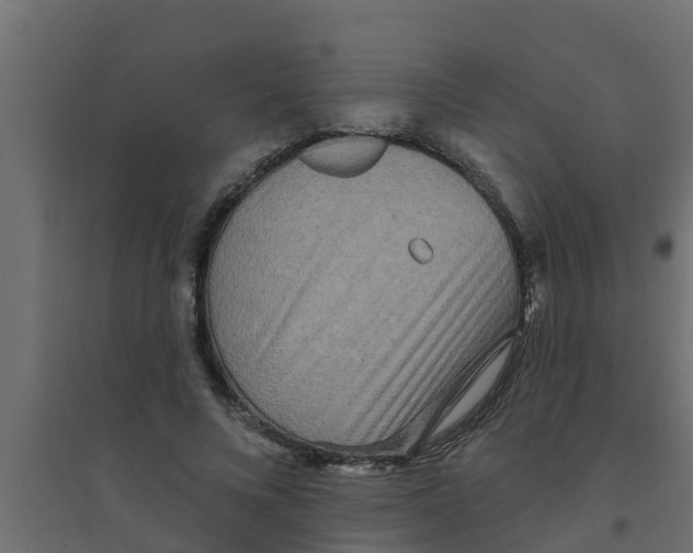 X0000094170688200711241530