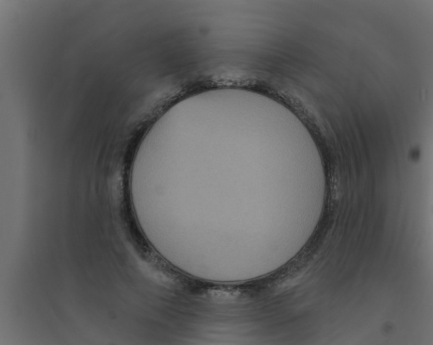X0000094170690200711241530