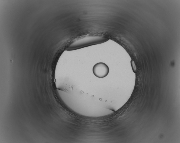X0000094170693200711241530